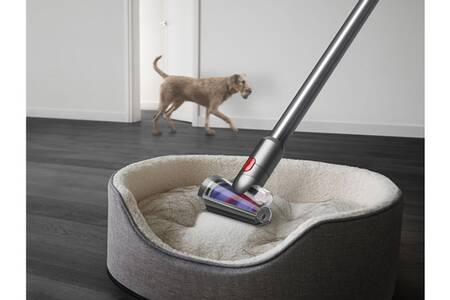elimination des poils animaux avec la mini brosse dyson v12